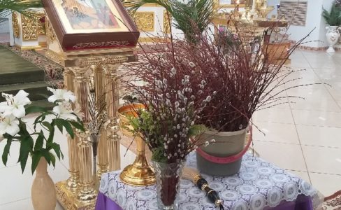 В праздник Входа Господня в Иерусалим